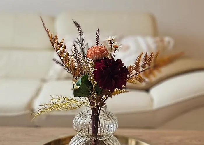 Belle 안데르나흐